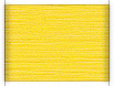 sari4.jpg